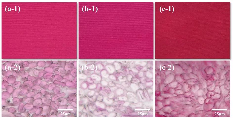 一种低化学品消耗的活性染料无盐染色方法