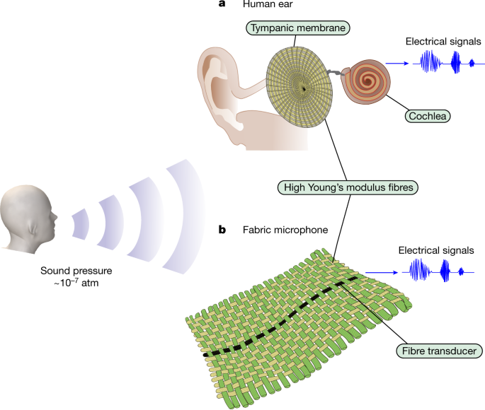 一种可以实时监测心跳的声学织物