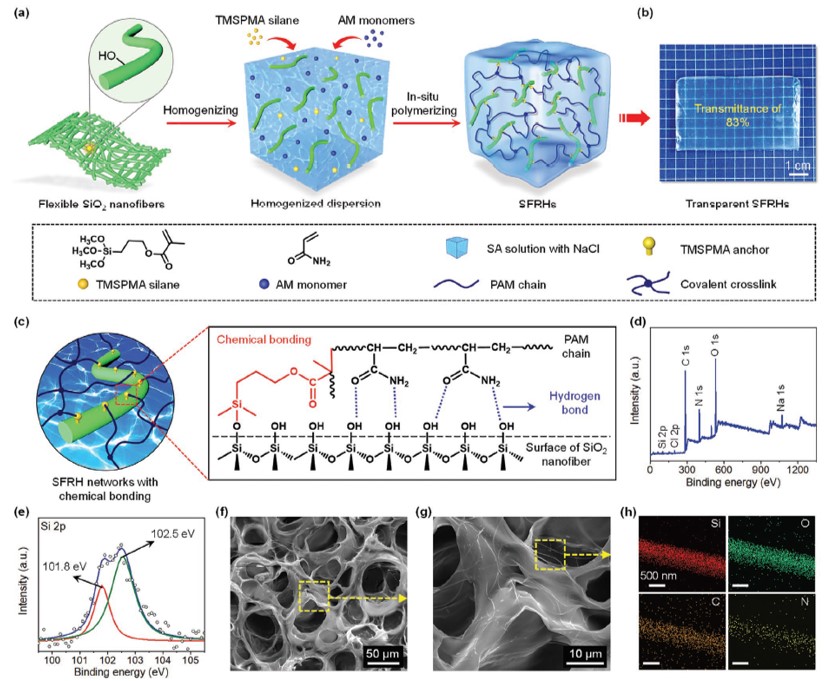 《AFM》：高弹、高韧、高模量、透明的纳米纤维增强水凝胶