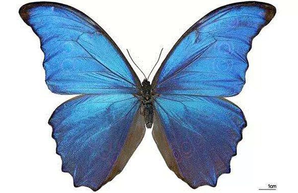 苏州大学研制出非晶结构色涂层：有望用于纺织品“染色”