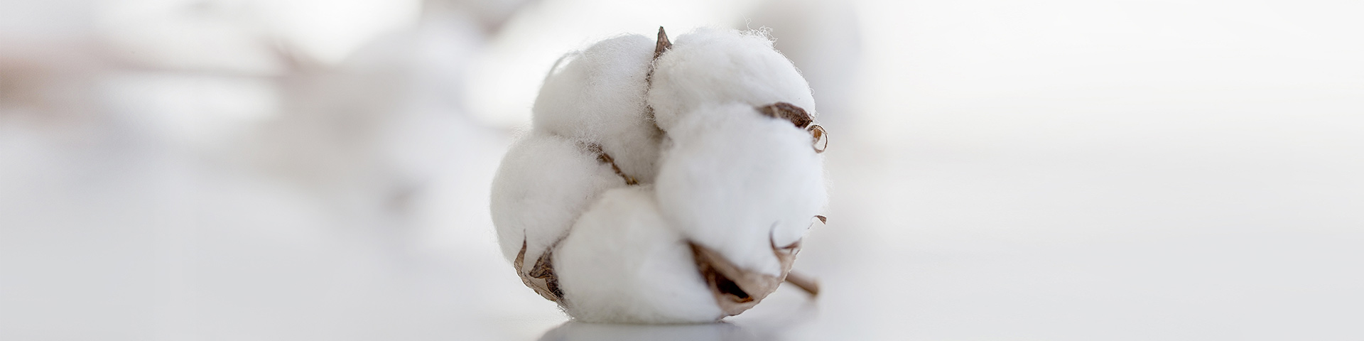 米兰MiLan（中国）